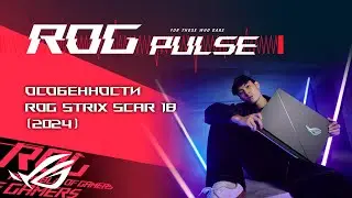 Death Stranding 2, Tony Hawk’s Pro Skater, Starfield, Zoochosis / ROG PULSE [04.10.24]