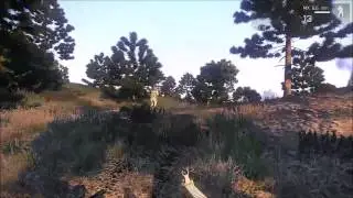 Arma 3 on NVIDIA GT 740M 2GB