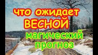 Что ожидает весной🌷. Магический прогноз