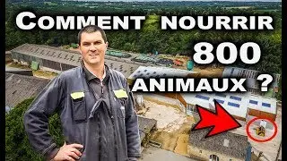 Comment cet agriculteur alimente ses 800 animaux ?