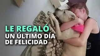 Después de recibir malas noticias, le dio un último regalo a su perrita