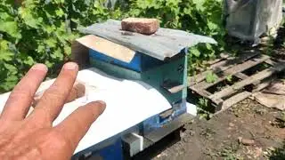 10 июня 2024 г.