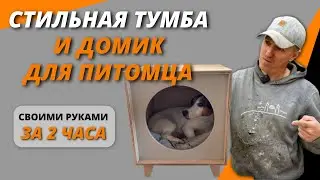 Домик тумба для кошки или мелкой собаки / ДИЗАЙНЕРСКАЯ мебель своими руками 🙌