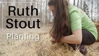 Planting The Ruth Stout No Dig Way ~ Potatoes and Onions