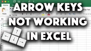 Arrow Keys Dont Move in Excel From Cell to Cell | Arrow Keys Not Working in Excel