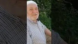 #borsacıdede