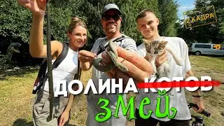 Долина змей. Сухая долина Тамашлык. В поисках гадюки. 2 кадра 25.07.2024