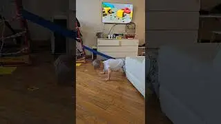 весело отжимаемся утром с детьми 😃💪