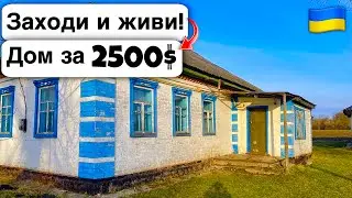 🇺🇦 Заходи и живи! Дом в селе за 2500$ Продажа недвижимости за копейки! Всё есть Уютное тихое село!