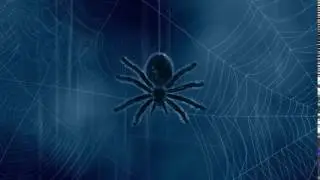 Футаж Тыквенный Спас (Хэллоуин) 26