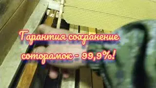 Защита от восковой моли или как сохранить сушь.