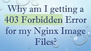 Why am I getting a 403 Forbidden Error for my Nginx Image Files?