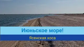 2023 г. // Июньское море // Ясенская коса