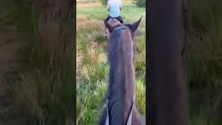 Horse riding in the uk 