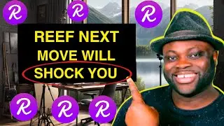 REEF Coin NEXT BIG Move REVEALED