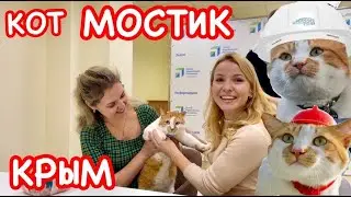 Крым: КОТ МОСТИК и блогеры в Симферополе // Пригласили в ЦУР Крыма.  VLOG