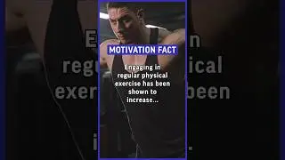 Engaging in regular physical exercise has been shown to increase energy levels… 