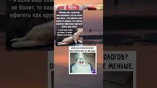 Подборка мемов #memes #мем #мемы #funny #mellstroy #меме #fyp