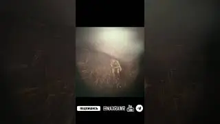 RDR 2 Бандой ограбили дилижанс
