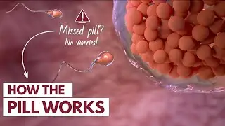 How The Pill Works | Missed Pill? Skipping Period?