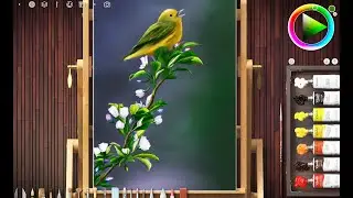 Nature Painting - Beautiful Bird Drawing - Realistic Paint Studio (Digital Art)