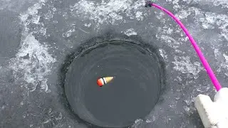 Качает поплавок со стороны в сторону , а потом резко всплывает. Зимняя рыбалка 2024
