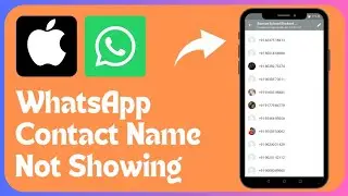 How to fix WhatsApp contact name not showing / iPhone / Android