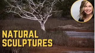 Editing tips to highlight and create natural sculptures with winter photography.