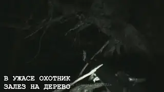 НЕЧТО ЖУТКОЕ ПРЕСЛЕДОВАЛО ОХОТНИКА В ТАЙГЕ | СТРАШНОЕ ВИДЕО