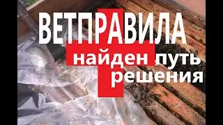 Ветправила! Найден путь решения!