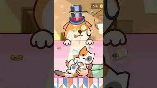 LITTLE CAT HIDES FROM DOG?! LEVEL37 Kitten Hide N’ Seek: Neko Doge 