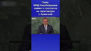 Глава МИД Азербайджана заявил о прогрессе на переговорах с Арменией