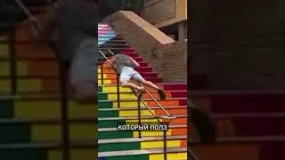 Мужик и ЛГБТ лестница! 