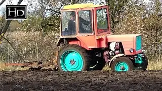 Vladimirets T-25 ⛄ Plowing black soil for the winter