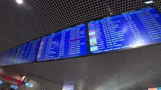 Аэропорт Домодедово: Нашёл табло с расписанием рейсов, нашёл свой рейс Azur Air в Пунта-Кану