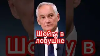 Шойгу в ловушке: аналитики прогнозируют его падение 