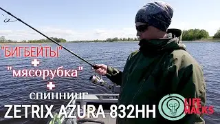 ZETRIX AZURA и крупный силикон,