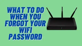 What to Do When You Forgot Your WiFi Password