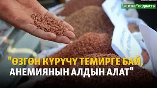 Өзгөн күрүчү темирге бай, анемиянын алдын алат | Жер эне подкасты