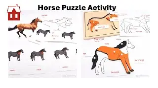 Horse Puzzle Activity