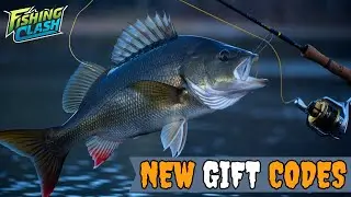 12 OCTOBER CODES ✅FISHING CLASH CODES 2024 - FISHING CLASH GIFT CODES - FISH CLASH CODES