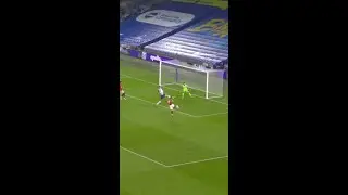 Arts & Culture | Bruno Fernandes Collection (Goal #7)