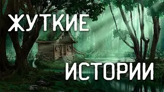 СТРАШНЫЕ ИСТОРИИ НА НОЧЬ / СТРАШНЫЕ ИСТОРИИ ПРО ДЕРЕВНЮ / СТРАШНЫЕ ИСТОРИИ ПРО ВЕДЬМ / ВЕДЬМЫ
