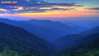 Creek Sounds for Sleep | Great Smoky Mountains Creek