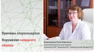 Причины атеросклероза. Нарушение липидного обмена |Александрова Е.Б., д.м.н., главный врач