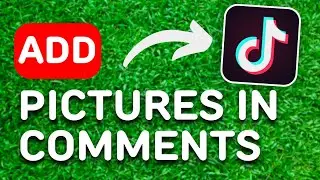 How to Put Pictures in TikTok Comments (2023) - Full Guide