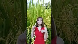 Dj EFKA Viral Tiktok🎼 Joget Versi Wawa2 Cantik😱🥰