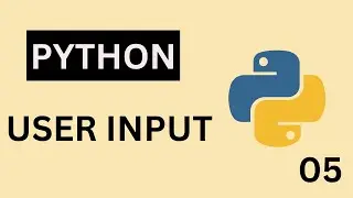 Input User in Python | input() in Python