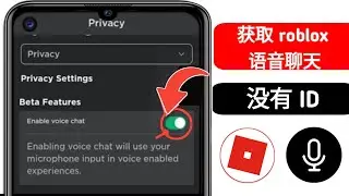 如何获取 ROBLOX 语音聊天 (2024) | 如何在 Roblox 上启用语音聊天