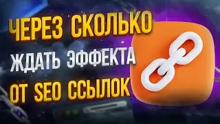 Когда будет эффект от SEO ссылок?